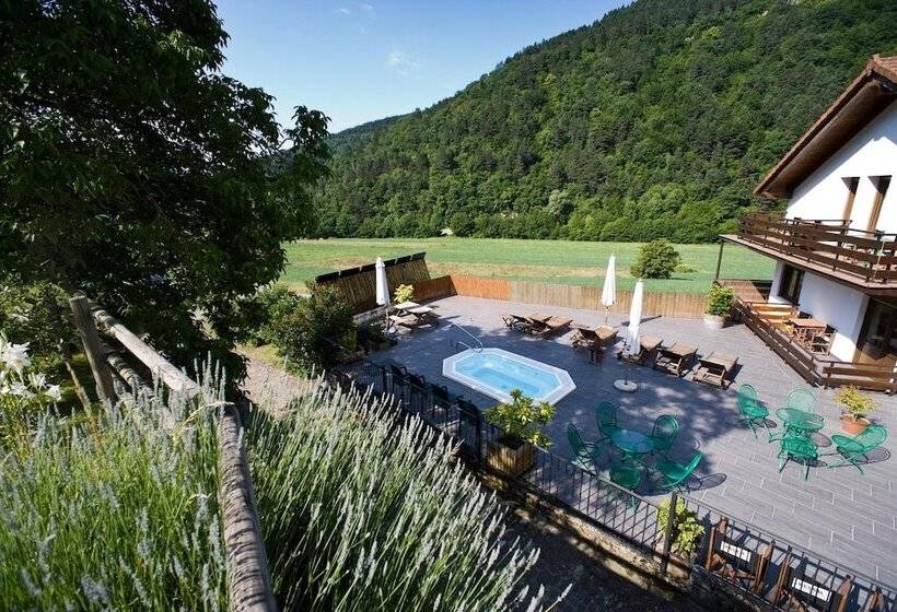 호텔 Hostal Salazar