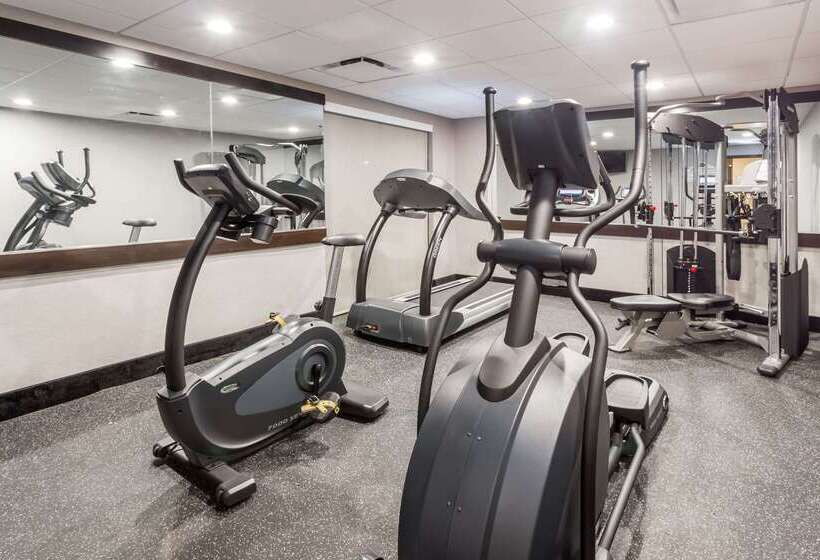 Fotos del hotel Wingate By Wyndham - Universal Studios And Convention Center:  19