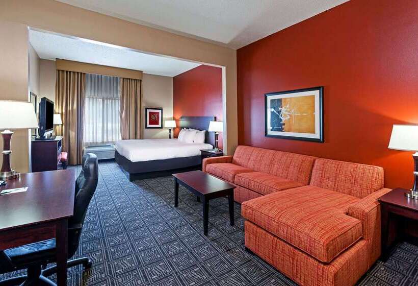 هتل Comfort Inn & Suites Irving Las Colinas Dfw