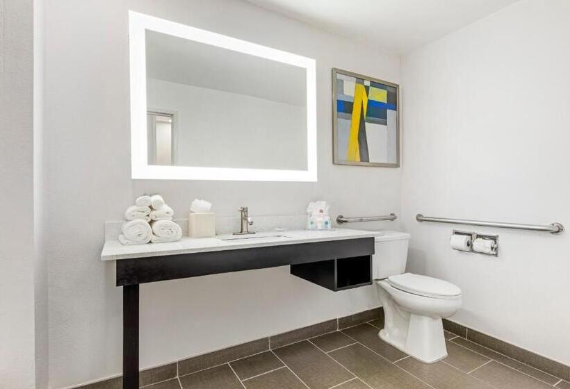 هتل Comfort Inn & Suites Irving Las Colinas Dfw