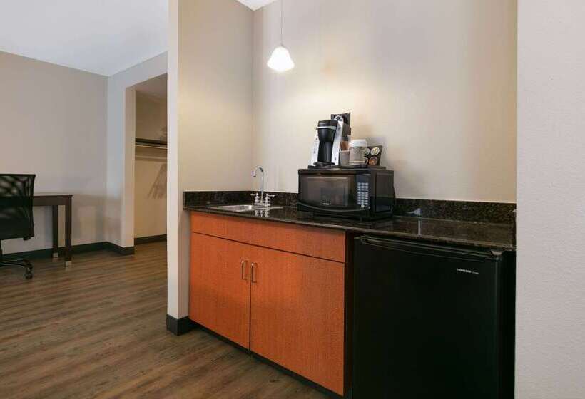 هتل Wingate By Wyndham Dfw / North Irving