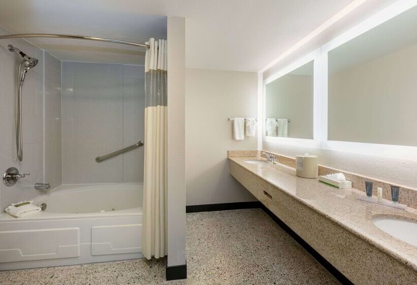 هتل Wingate By Wyndham Dfw / North Irving