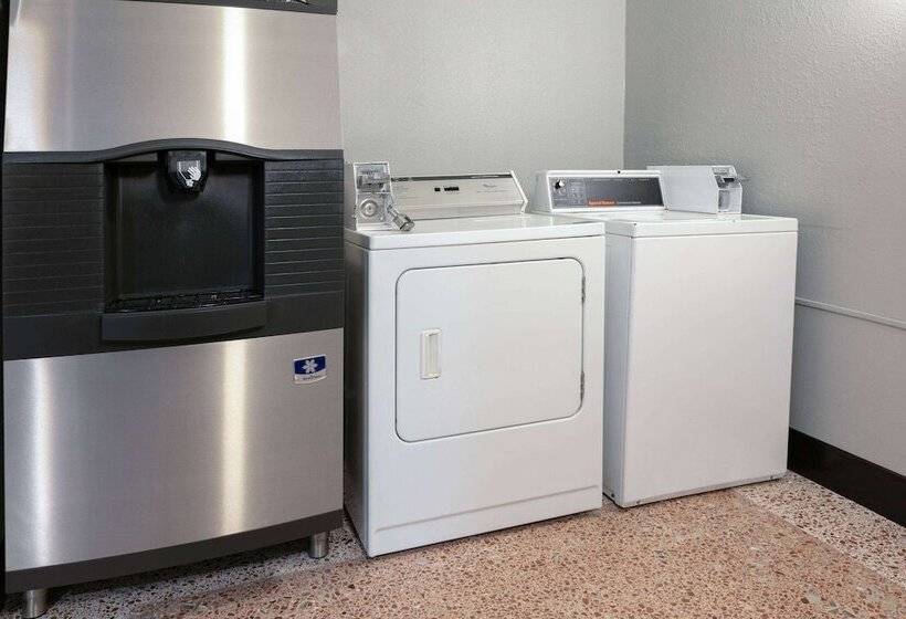 هتل Wingate By Wyndham Dfw / North Irving