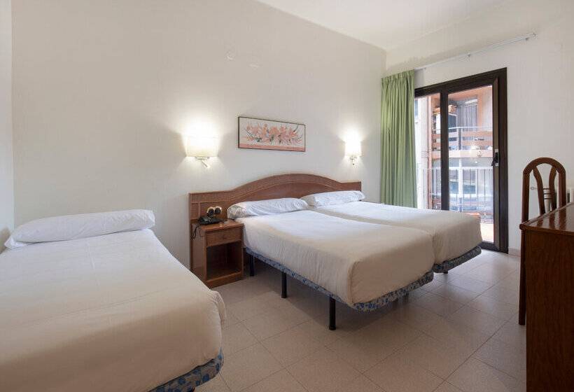 Fotos del hotel Cervol:  11