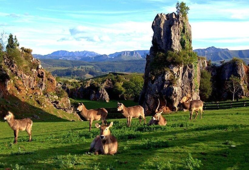 هتل Jardin De Carrejo