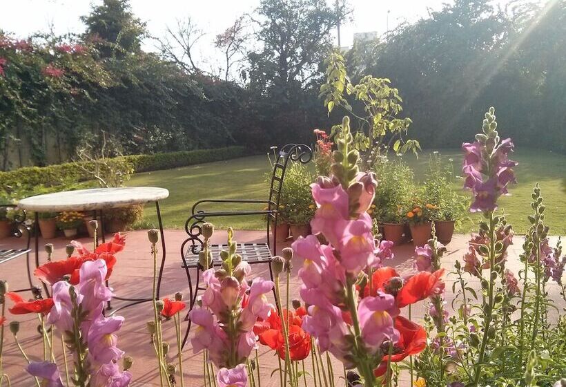 Fotos del hotel Jas Vilas:  22