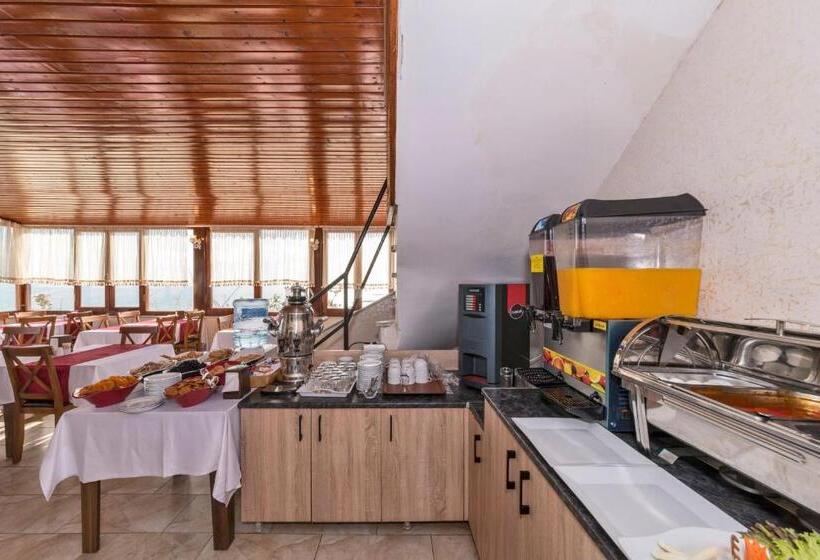 Fotos del hotel Olimpic:  30