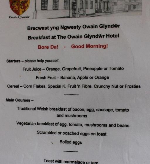 Owain Glyndwr Hotel