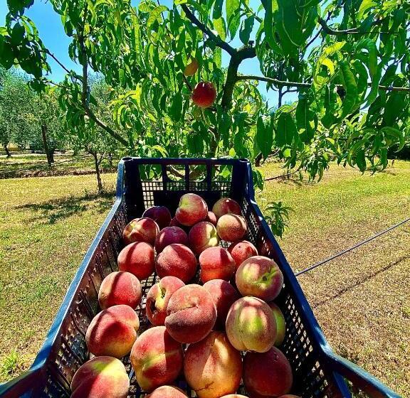 בית מלון כפרי Agriturismo Re Di Fiori