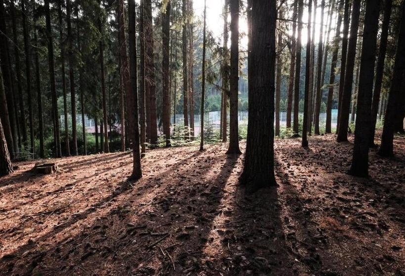 בית מלון כפרי Kouty