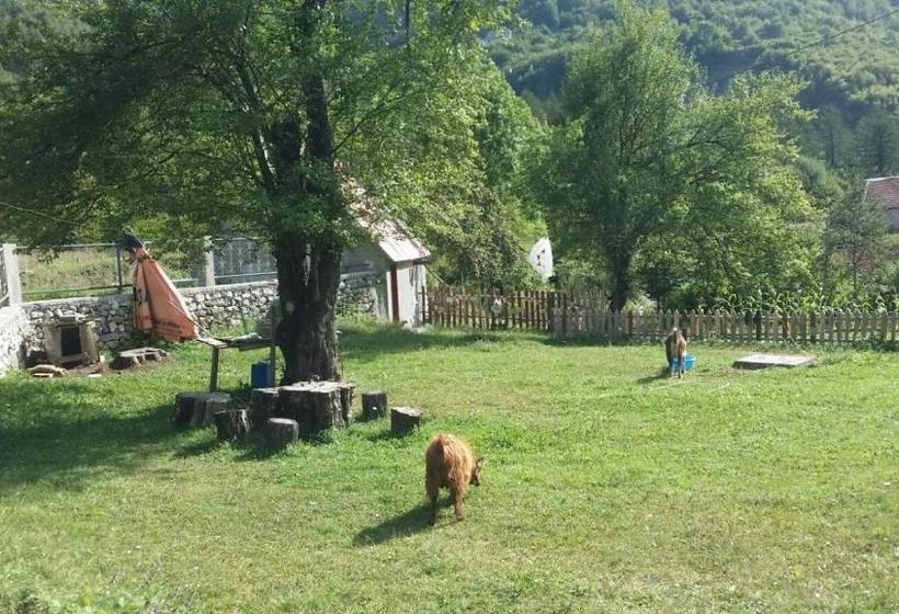پانسیون Kulla Pracja Theth
