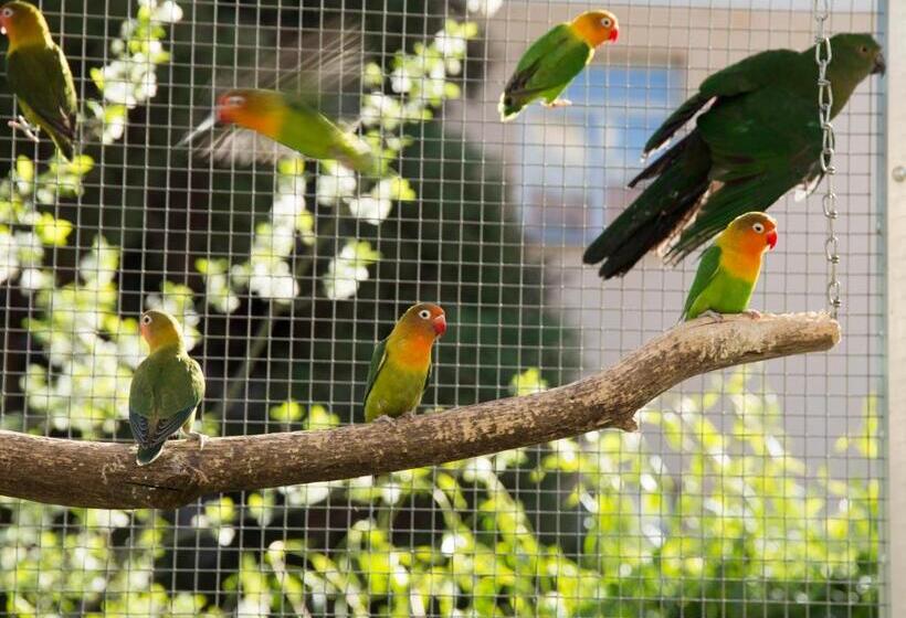 פנסיון Penzion Beta