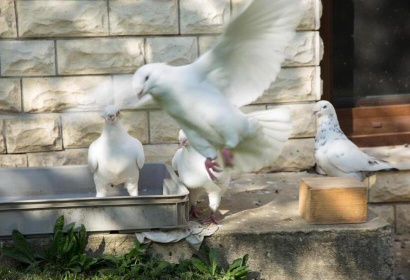 פנסיון Penzion Beta