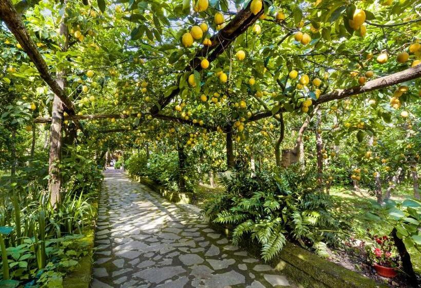 Villa Maresca B&b
