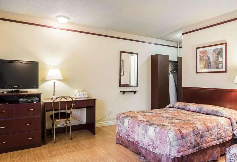 Repotel Levis