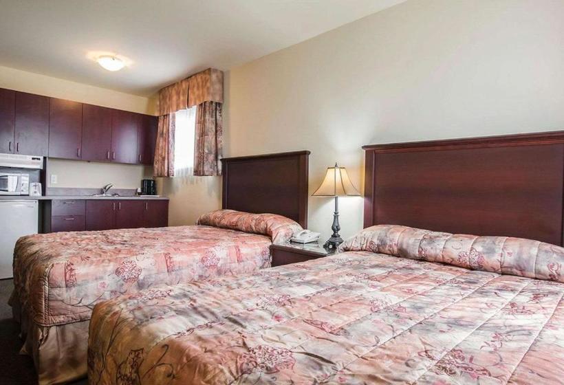 Repotel Levis