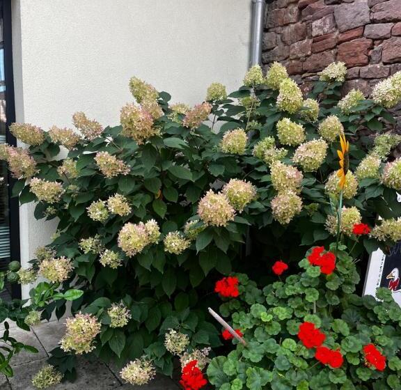 בית מלון כפרי Les Chambres Du Marlenberg