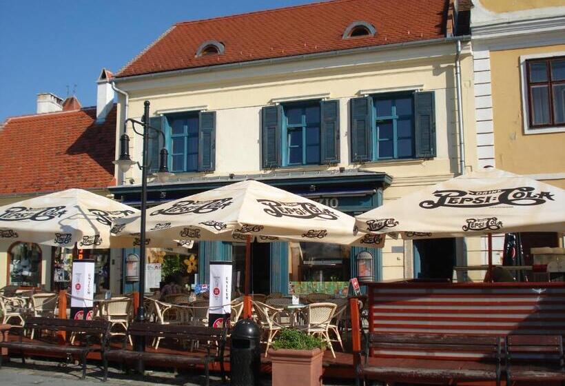 בית מלון כפרי Portré Panzió