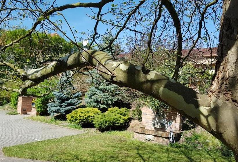 پانسیون Penzion U Vlků