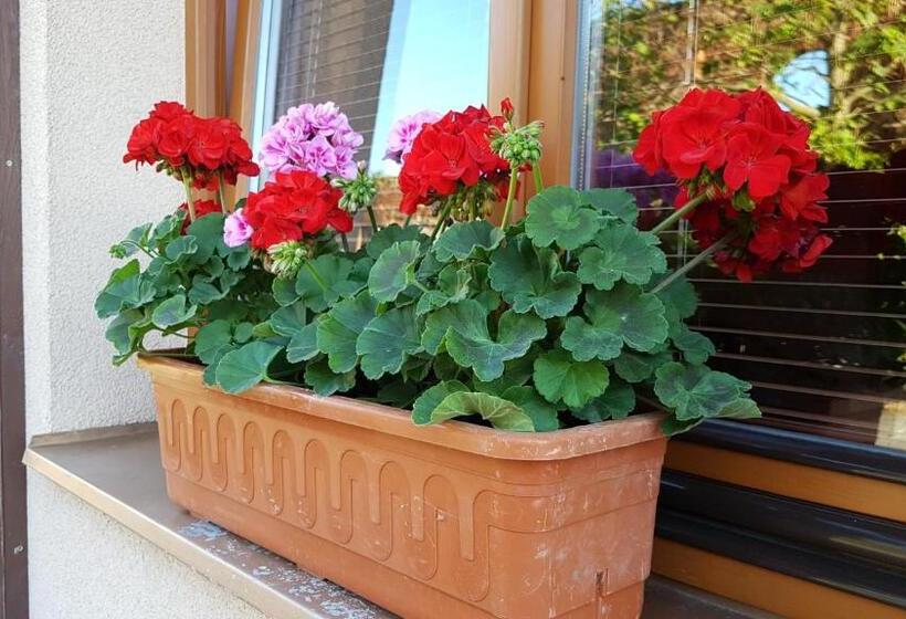 پانسیون Penzion U Vlků