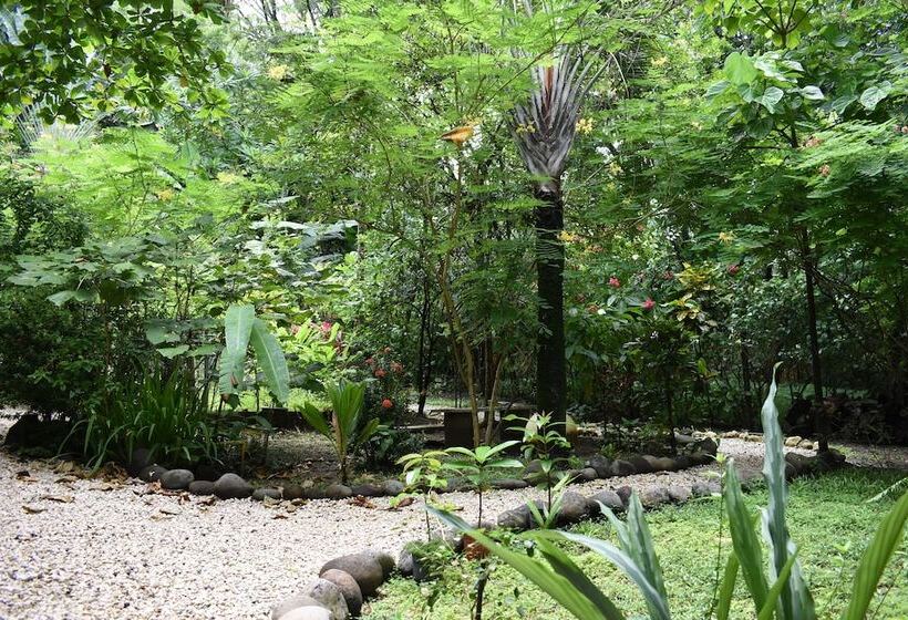 Pachamama Lodge   Hostel