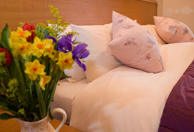בית מלון כפרי Coila Guest House