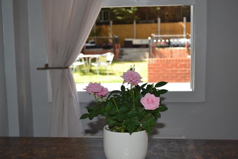 Fotos del hotel My Place:  4