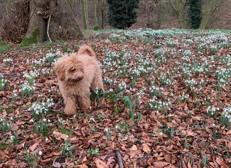 فندق Scarborough Hill Country Inn