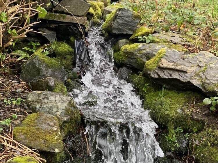 酒店 Maes Y Neuadd Country House