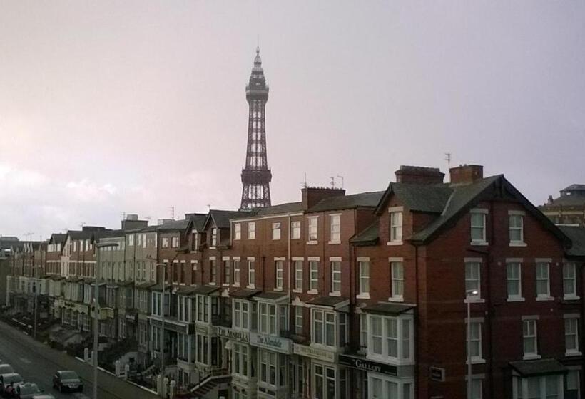 Fotos del hotel The Albert:  9