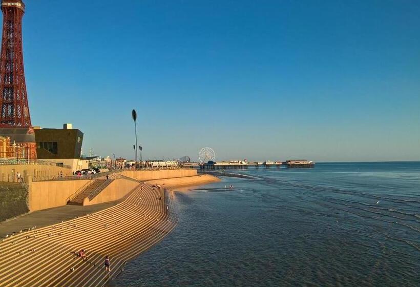 Fotos del hotel The Albert:  10