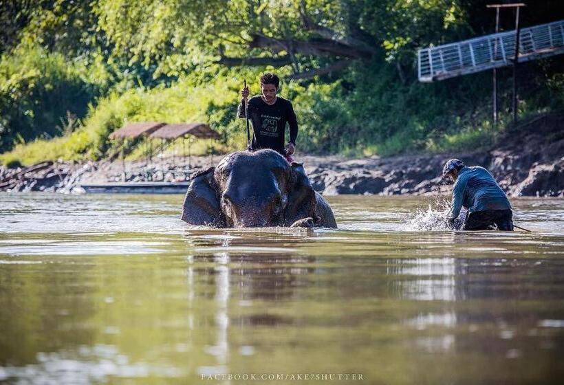 هتل The River Life Resort