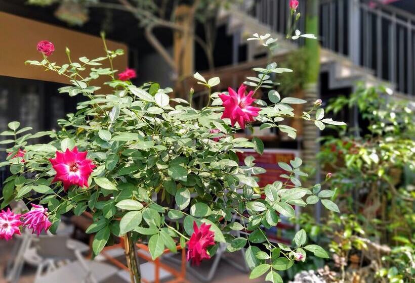 هاستل Q  Homestay Garden Villa