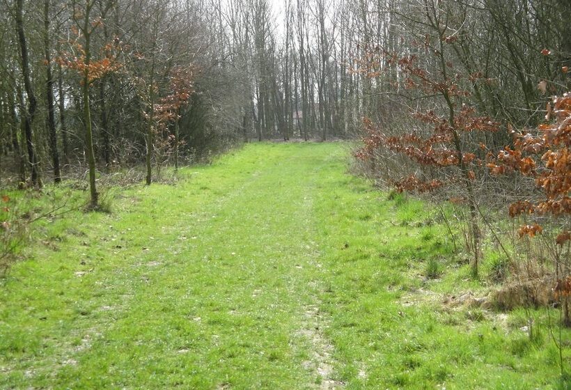 B&b De Zoete Kers
