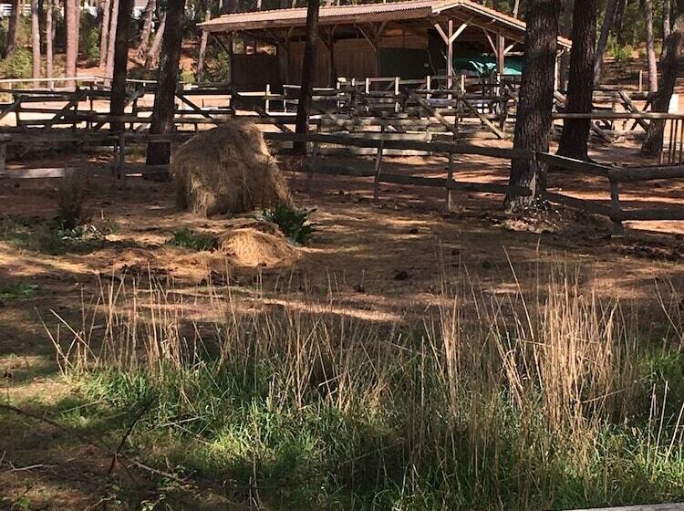 Chalet Orange Naturiste La Jenny