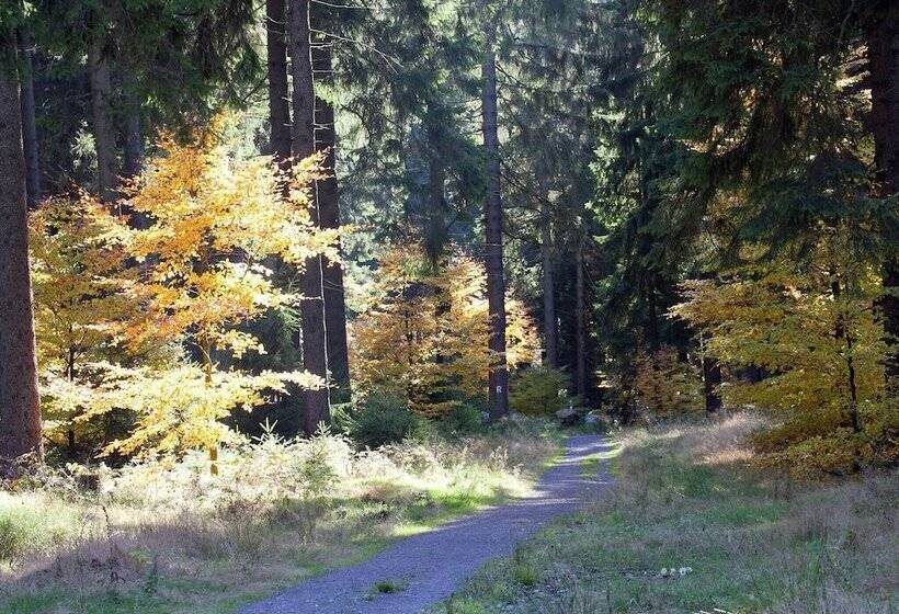 Cozy Apartment In Kerpen With Garden