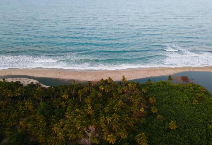 هتل Casa Bambu Tayrona, Los Naranjos