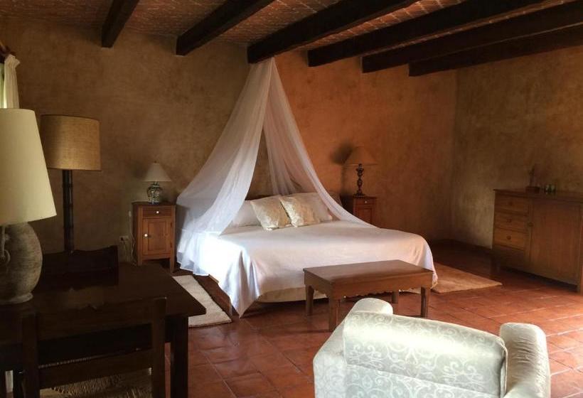 ホテル Hacienda San Andrés