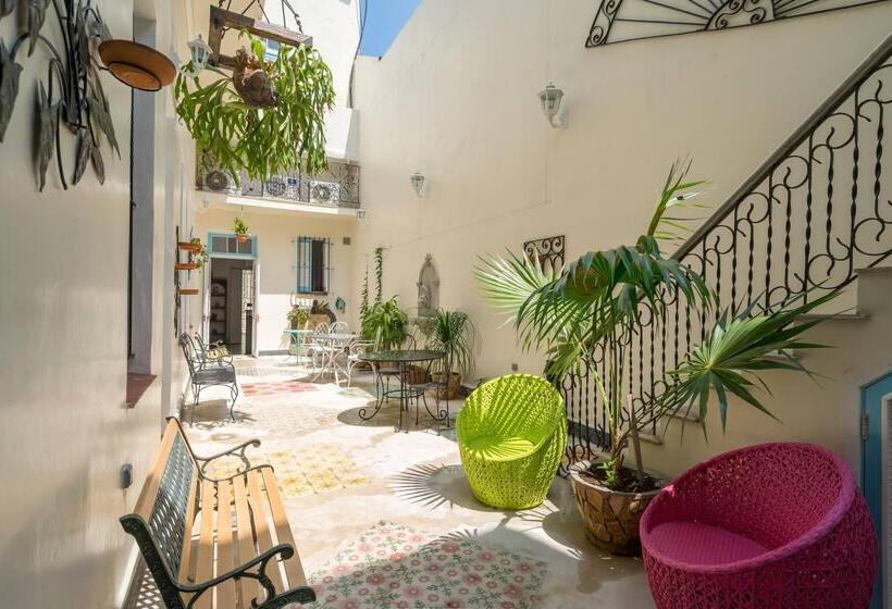 Fotos del hotel La Siguaraya:  109