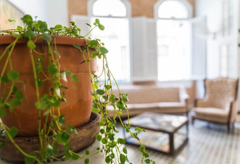 Fotos del hotel La Siguaraya:  100