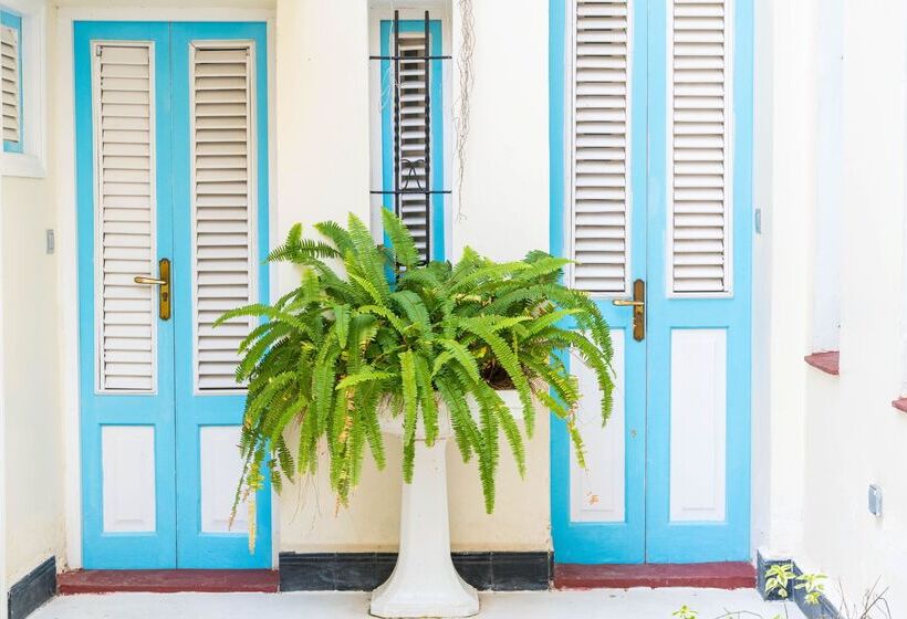 Fotos del hotel La Siguaraya:  57