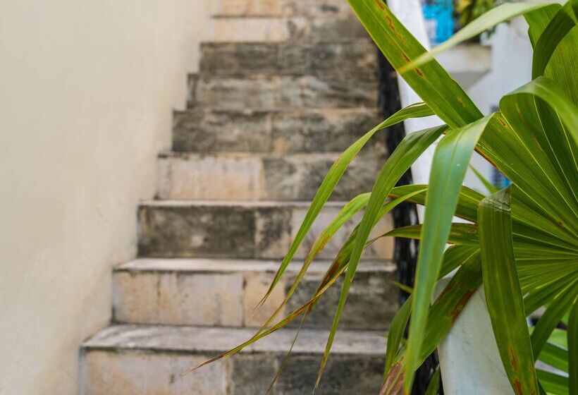 Fotos del hotel La Siguaraya:  56