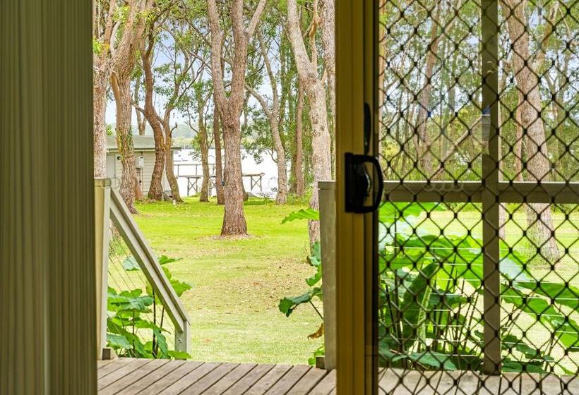 هتل Koala Shores Holiday Park