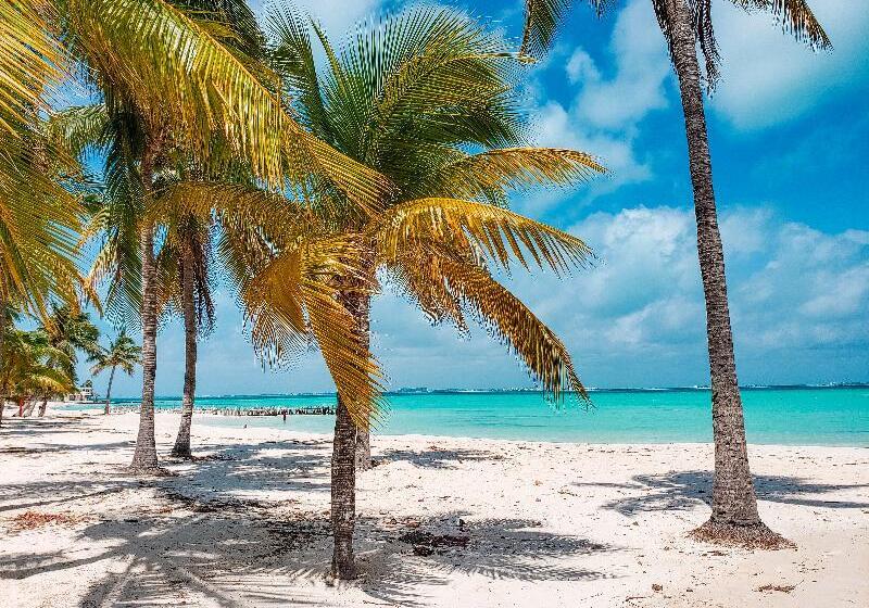 هتل The Mint Resort Isla Mujeres
