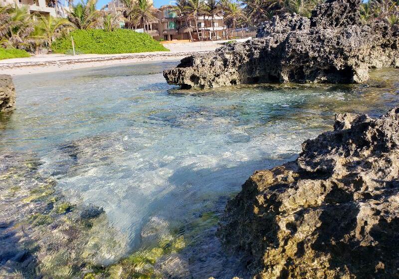 هتل The Mint Resort Isla Mujeres