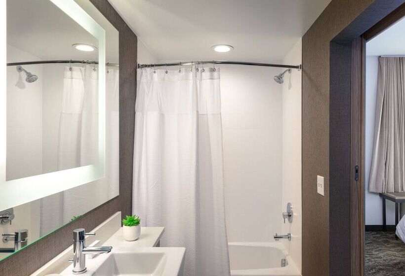 هتل Springhill Suites By Marriott Chattanooga South/ringgold