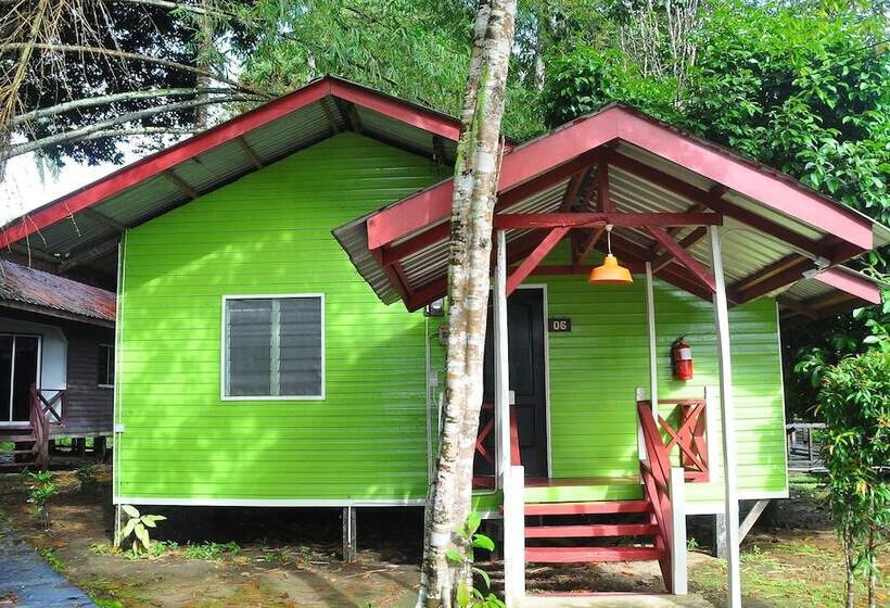 هتل Sukau Greenview Bed & Breakfast