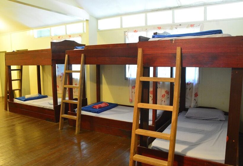 هتل Sukau Greenview Bed & Breakfast