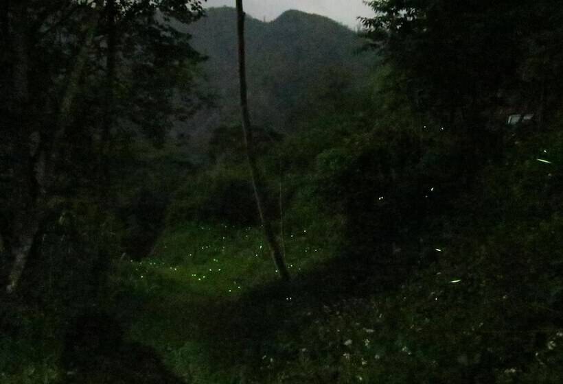 هتل Walk Cloud B&b