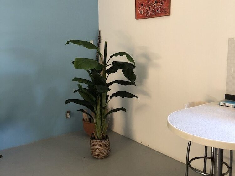 Tropical Breeze Apartments